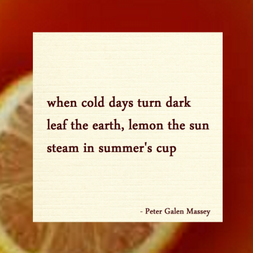 haiku poem 5-7-5: when cold days turn dark leaf the earth, lemon the sun steam in summer's cup