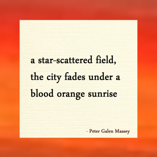 Star-Scattered Field Haiku Peter Massey