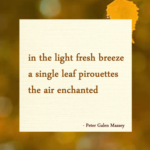haiku poem 5-7-5: in the light fresh breeze a single leaf pirouettes the air enchanted