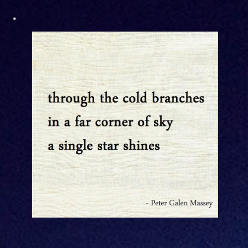 haiku poem 5-7-5: through the cold branches in a far corner of sky a single star shines