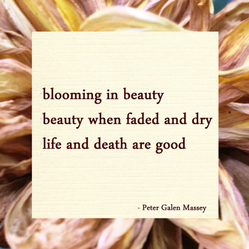 haiku poem 5-7-5: blooming in beauty beauty when faded and dry life and death are good