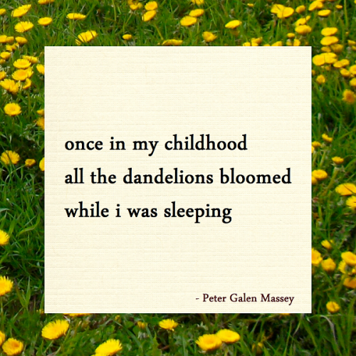 Haiku once in my childhood all the dandelions bloomed while i was sleeping peter galen massey
