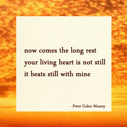 haiku poem 5-7-5: now comes the long rest your living heart is not still it beats still with mine