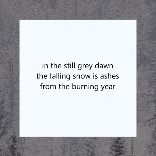 haiku poem about winter 5-7-5: in the still grey dawn the falling snow is ashes from the burning year