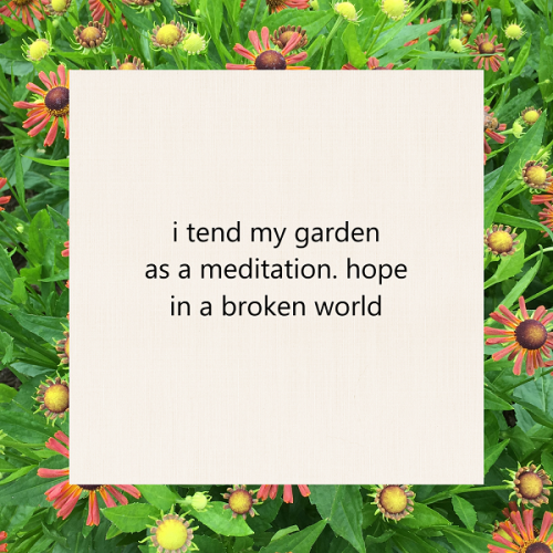 haiku poem 5-7-5: i tend my garden as a meditation. hope in a broken world