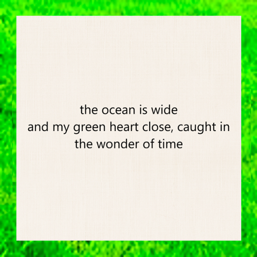 haiku poem about ireland 5-7-5: the ocean is wide / and my green heart close, caught in / the wonder of time