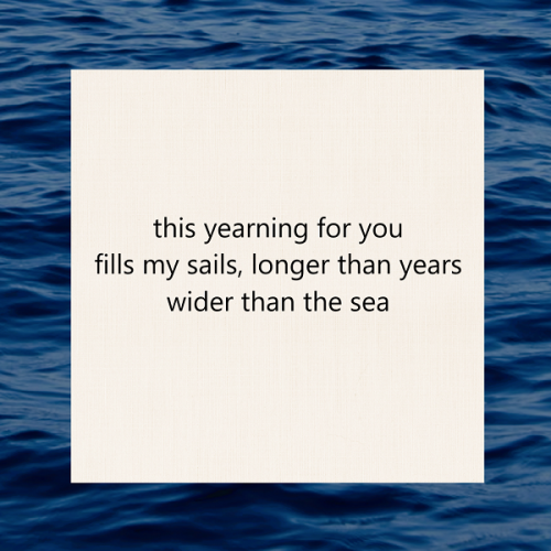haiku poem about covid 19 5-7-5: this yearning for you fills my sails, longer than years wider than the sea. by Peter Galen Massey